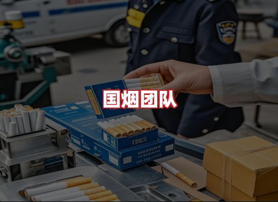 国烟团队