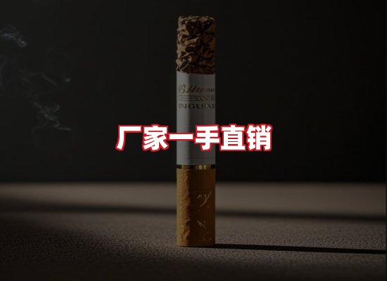 专业团队